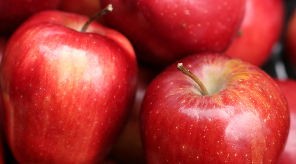 A revolution is on the way in how apples are harvested A revolution is on the way in how apples are harvested
