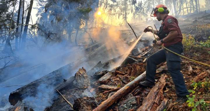All evacuation orders downgraded for Quilpituk Creek wildfire, residents return home All evacuation orders downgraded for Quilpituk Creek wildfire, residents return home