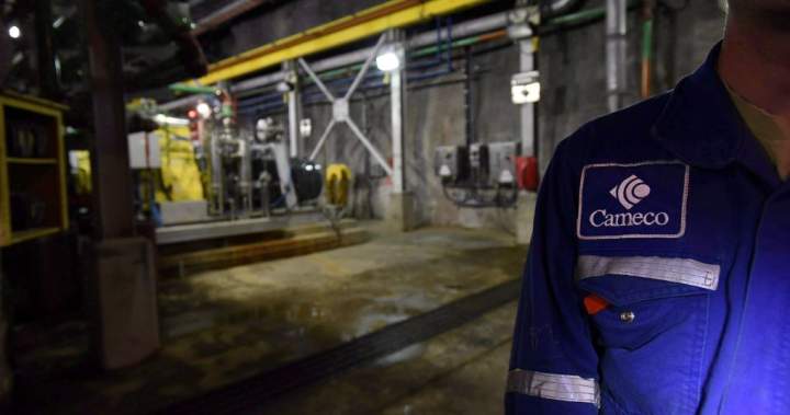 Cameco and Brookfield-owned Westinghouse files for U.S. IPO Cameco and Brookfield-owned Westinghouse files for U.S. IPO