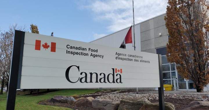 Compliments’ smashed 100% chicken burgers are being recalled in Canada – National Compliments’ smashed 100% chicken burgers are being recalled in Canada - National