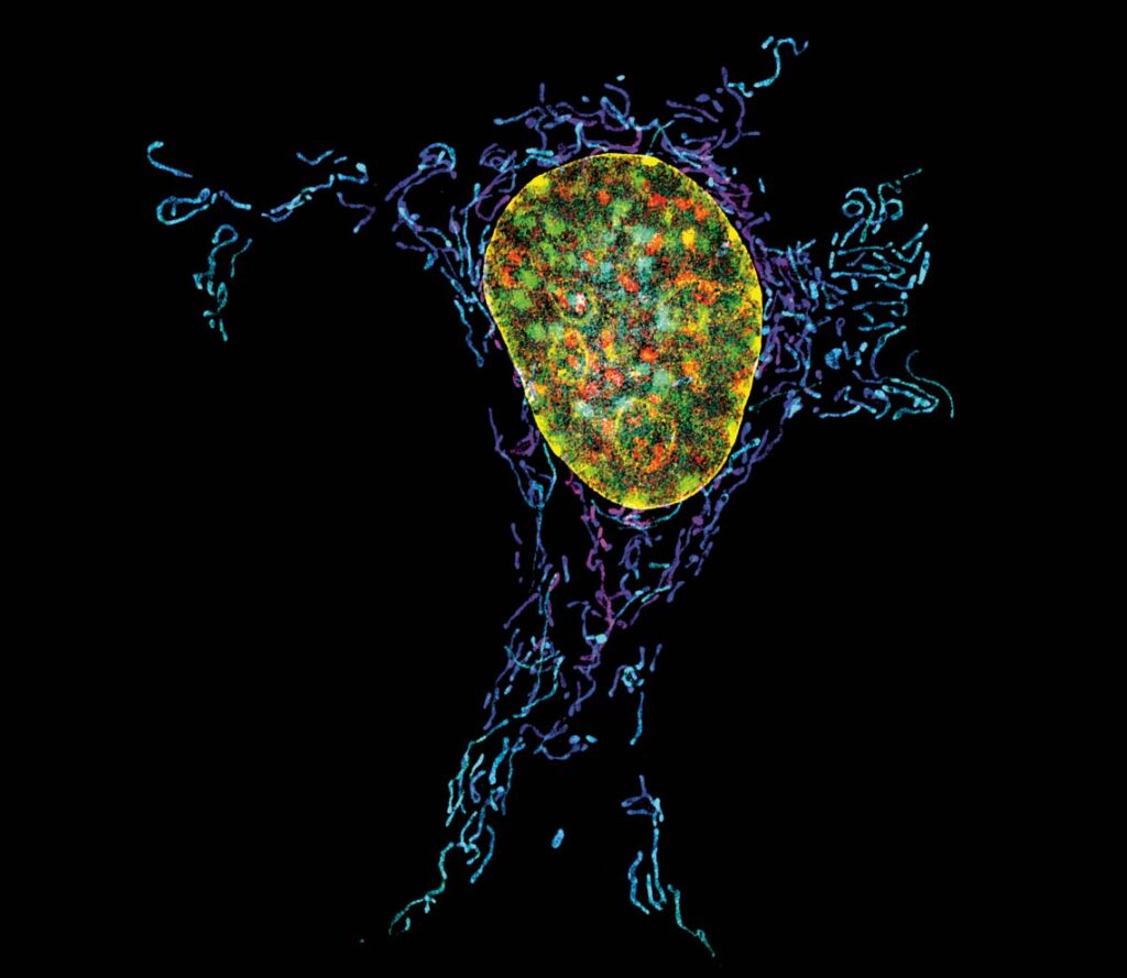 Discover what's next in cancer at Aug. 22 symposium