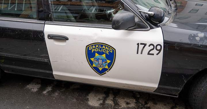 Child driving car strikes woman walking dog in California, police say – National Child driving car strikes woman walking dog in California, police say - National