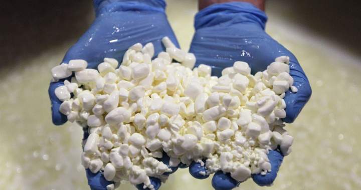 Canada’s dairy companies boost production amid ‘national cottage cheese shortage’ – National Canada’s dairy companies boost production amid ‘national cottage cheese shortage’ - National