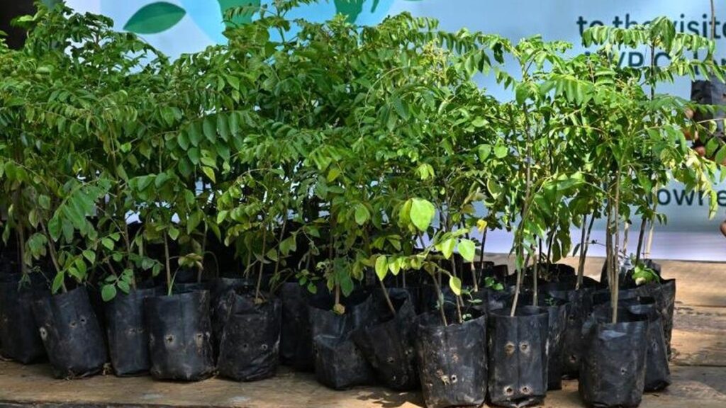 KAU launches ‘Panchakam’ model to boost household nutrition through home gardens KAU launches ‘Panchakam’ model to boost household nutrition through home gardens