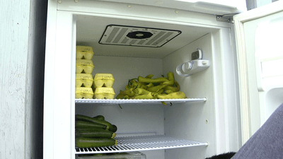 530 LL pkg franklin puts out food shelter.mxf-frame-2621.png