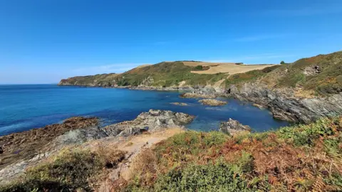 BBC Weather Watchers/TreeStar Lansallos in Cornwall. There is a rocky cliff with brown fields at the top. The sea is blue and there is a blue clear sky.