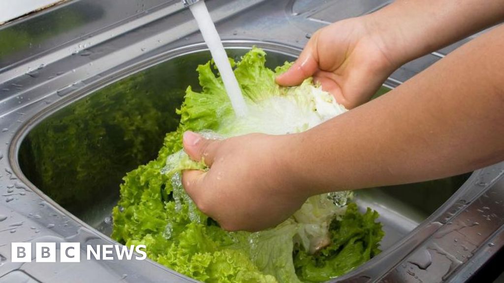 Michigan reports first two deaths linked to cyclospora outbreak Michigan reports first two deaths linked to cyclospora outbreak