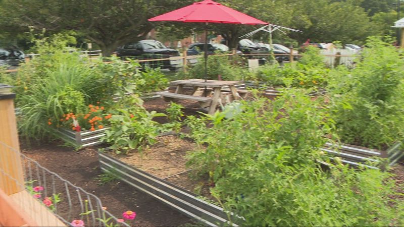 Julia Blanchette checks out Ocean State Community Wellness in North Kingstown (WJAR)