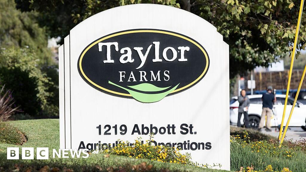 Taylor Farms recalls jalapeno products after salmonella outbreak Taylor Farms recalls jalapeno products after salmonella outbreak