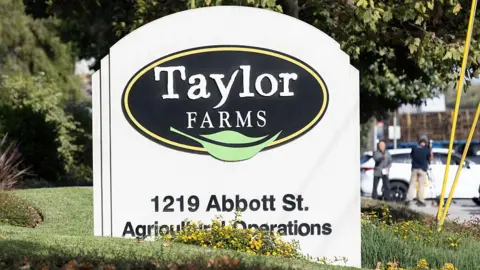 Getty Images A curved white sign with a black sideways oval on it containing the words Taylor Farms in white with a green leaf below. The sign is on a mown grass lawn with trees in the background and with a white car parked to the side.