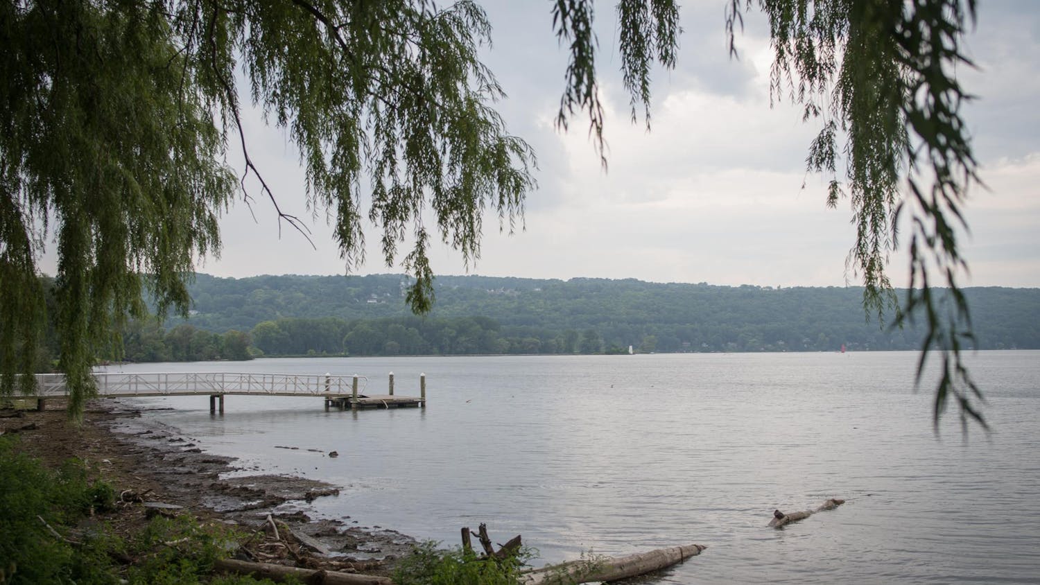 Cayuga