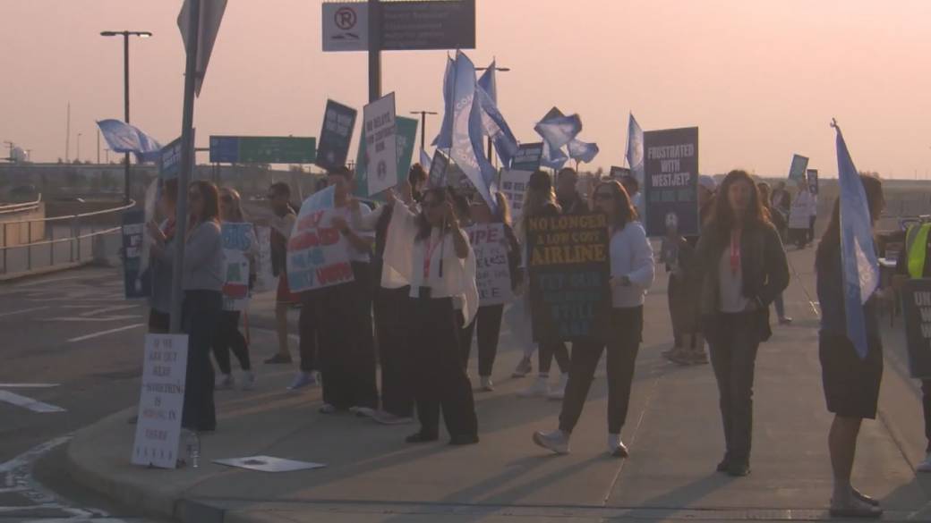 Click to play video: 'WestJet strike: what stranded passengers need to know'