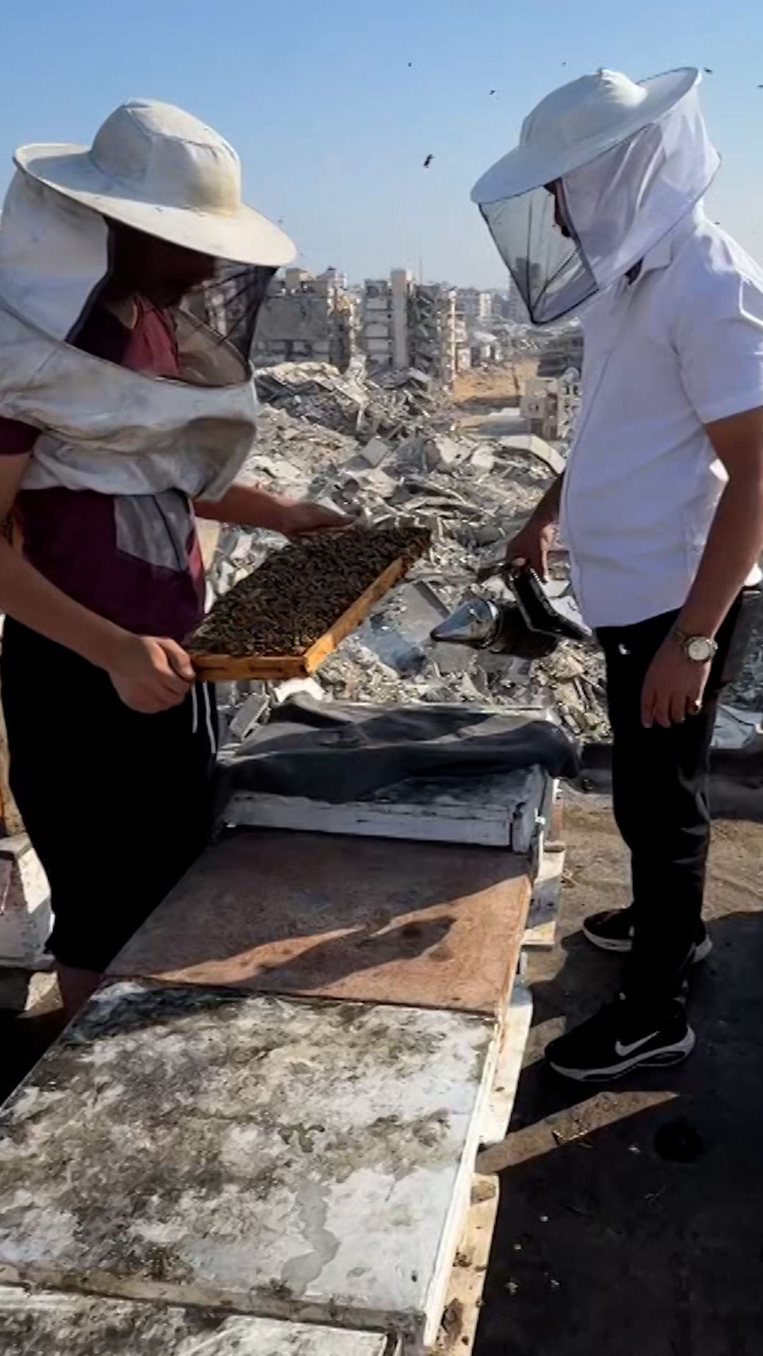 Gazan Beekeeper_vrtc.jpg