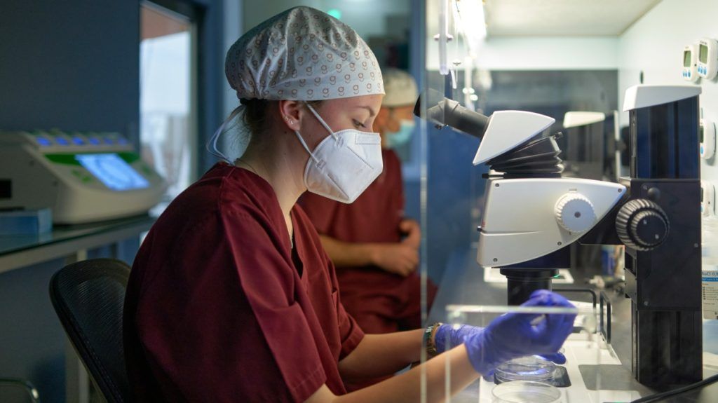 researchers working with a microscope and bio samples