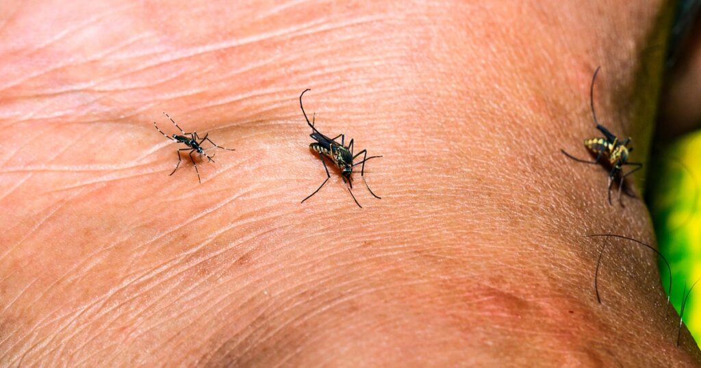 Orange County confirms first human West Nile virus case of 2026 Orange County confirms first human West Nile virus case of 2026