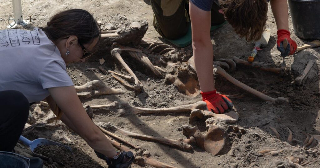 Human remains exhumed at site of controversial World War II massacres in Ukraine: “Each of them had their dreams” Human remains exhumed at site of controversial World War II massacres in Ukraine: "Each of them had their dreams"