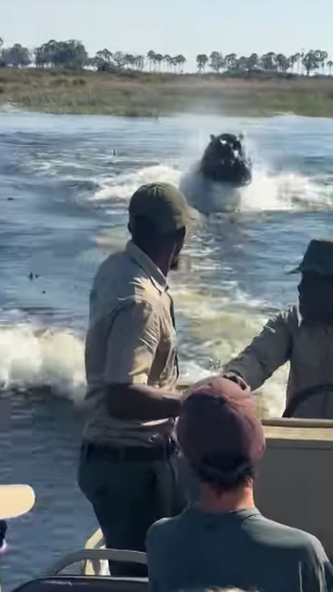 Hippo chases boat thumb.jpg