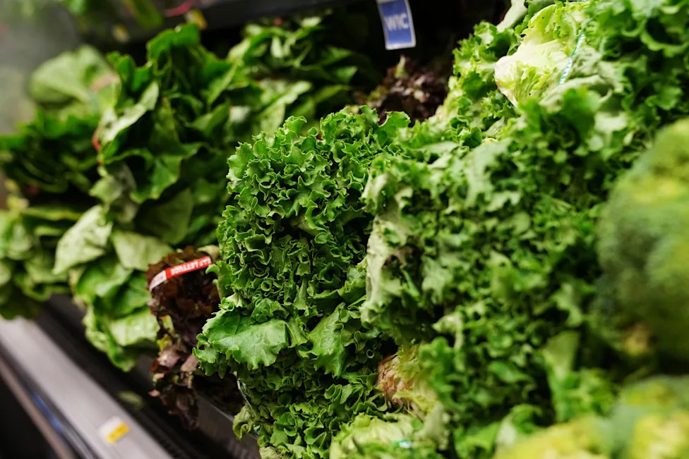 Lettuce is stocked in the produce section at a grocery store chain in Minneapolis, Friday, July 31, 2026. (AP Photo/Ellen Schmidt)