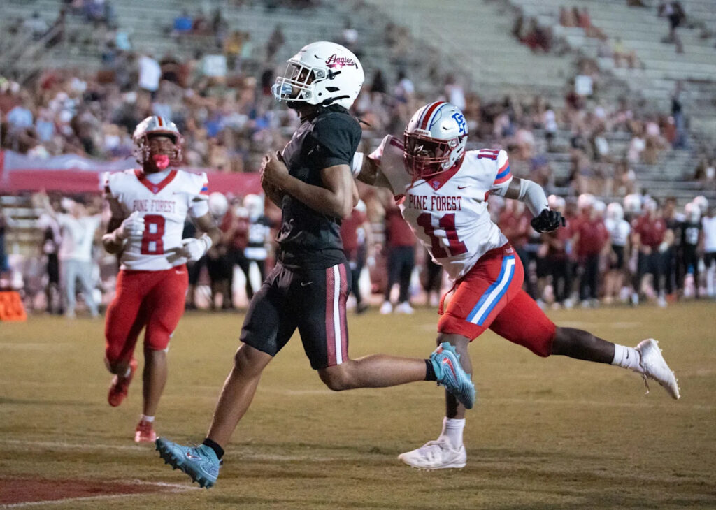 Tate edges Pine Forest 17
