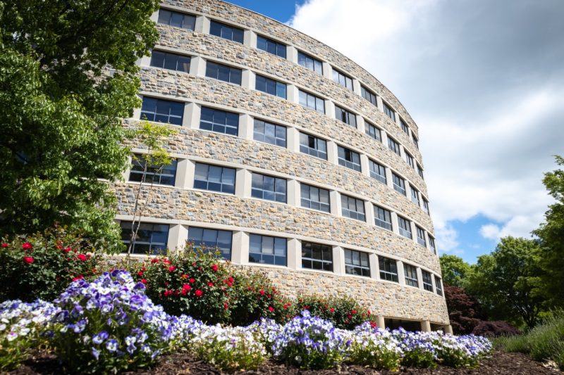 Curve side of Newman Library with purple and red flowers in the foreground.