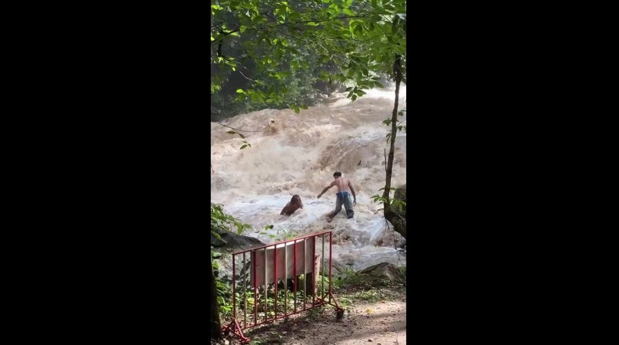 Terrifying moment tourists are swept away by sudden flood at Thai waterfall