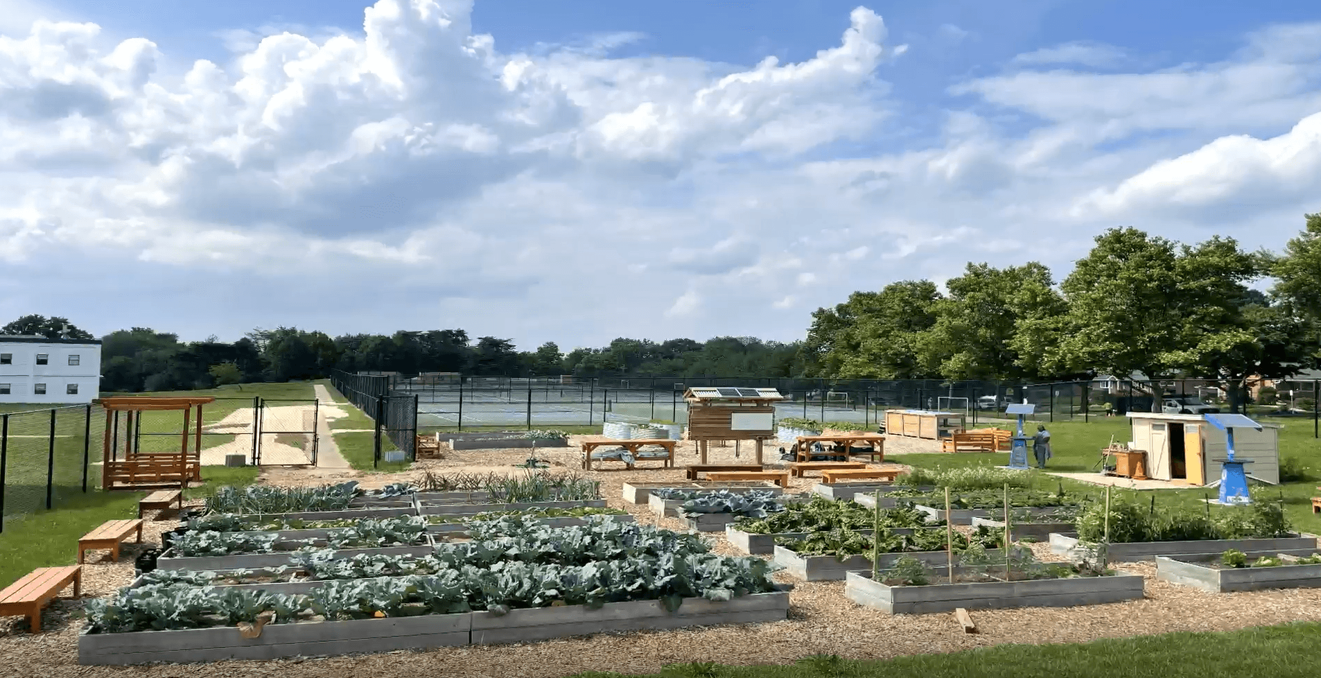 REACH Hub at Loiderman MS established by Charles Koiner Center for Urban Farming