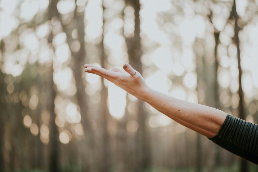 The Church of Wellness Is Not Making the Cut The Church of Wellness Is Not Making the Cut