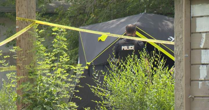 No charges for Regina officer who fatally shot homicide suspect: watchdog No charges for Regina officer who fatally shot homicide suspect: watchdog