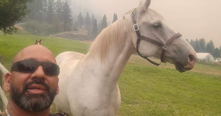 Summerland wildfire livestock ‘hero’ stopped after breaking the rules Summerland wildfire livestock ‘hero’ stopped after breaking the rules