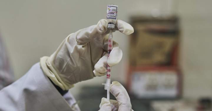 Cat with rabies prompts 3 people to receive emergency treatment in Montreal area – Montreal Cat with rabies prompts 3 people to receive emergency treatment in Montreal area - Montreal