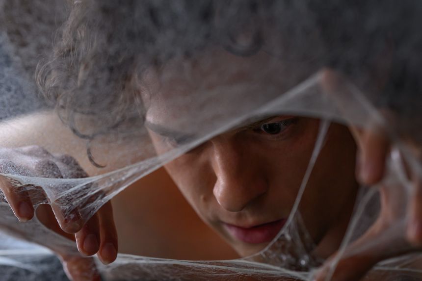 Peter Parker (Tom Holland) peers through the web in Columbia Pictures SPIDER-MAN™: BRAND NEW DAY.