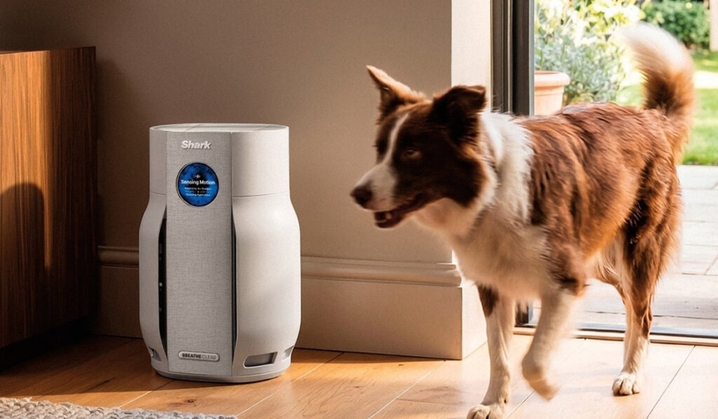 Meet The Clever Gadget Keeping Your Home’s Air In Check Meet The Clever Gadget Keeping Your Home's Air In Check