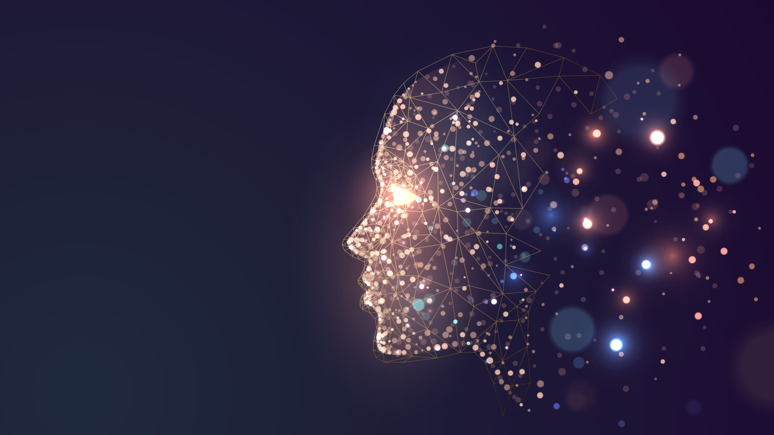 Image of a head with broad cybersecurity connotations