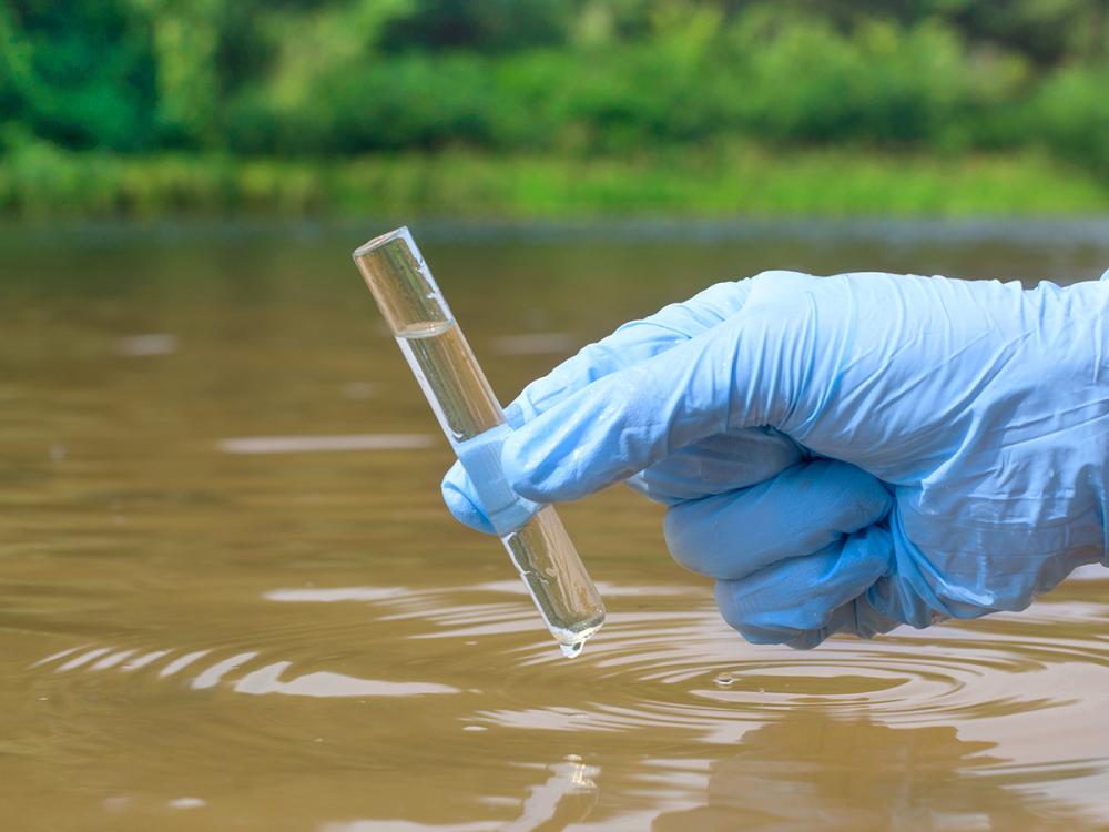 Q&A: Are environmental chemicals and endometrial cancer linked? Q&A: Are environmental chemicals and endometrial cancer linked?