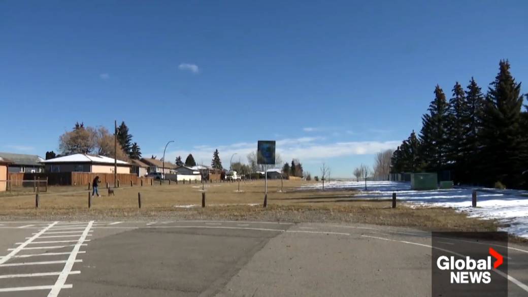 Click to play video: 'Public engagement on Memorial Drive extension pushed back to 2023'