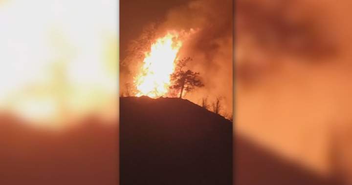 Animal sanctuary among evacuees of Summerland wildfire Animal sanctuary among evacuees of Summerland wildfire