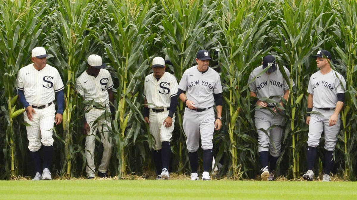 Chicago White Sox and New York Yankees players walk through corn rows at Field of Dreams.