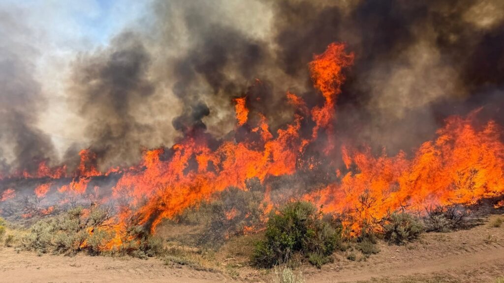 A helicopter battling a Utah wildfire crashes as a blaze kills dozer operator in Oregon A helicopter battling a Utah wildfire crashes as a blaze kills dozer operator in Oregon