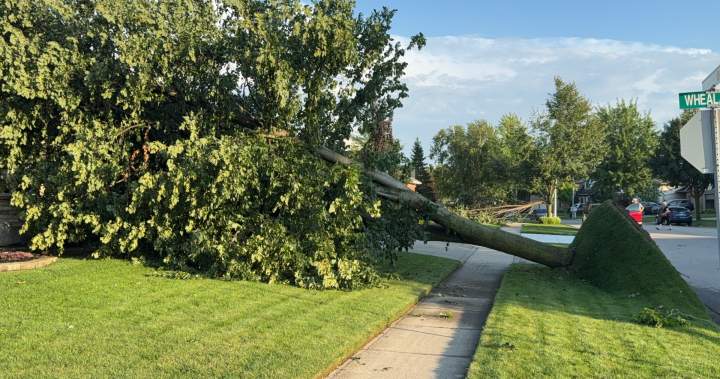 2 tornadoes touch down in southwestern Ontario as storms blow through region 2 tornadoes touch down in southwestern Ontario as storms blow through region