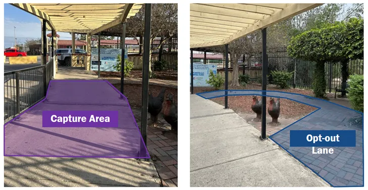 There are two photographs side by side. The picture to the left has the main walkway of the pergola. There are purple graphics superimposed on the photo that shade part of the walkway. The words “Capture Area” are printed in the purple area, indicating that if you walk here, your image will be taken for the testing. The photograph to the right shows the way to walk around the image capture area. Blue graphics are superimposed on the photo and the words “Opt-Out Lane” are printed on in the blue shaded area.